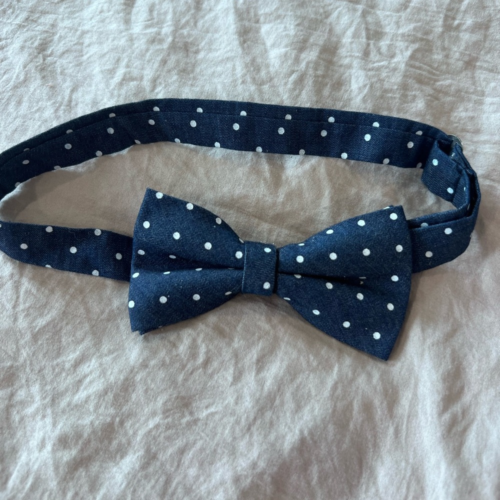 Navy Blue Polka Dot Bow Tie